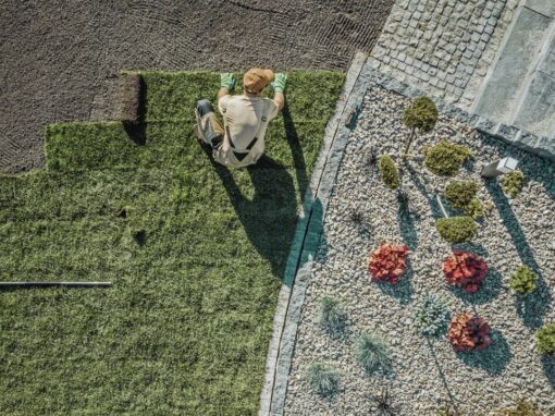 Protégé : Régime TVA pour les entrepreneurs de jardin en Belgique